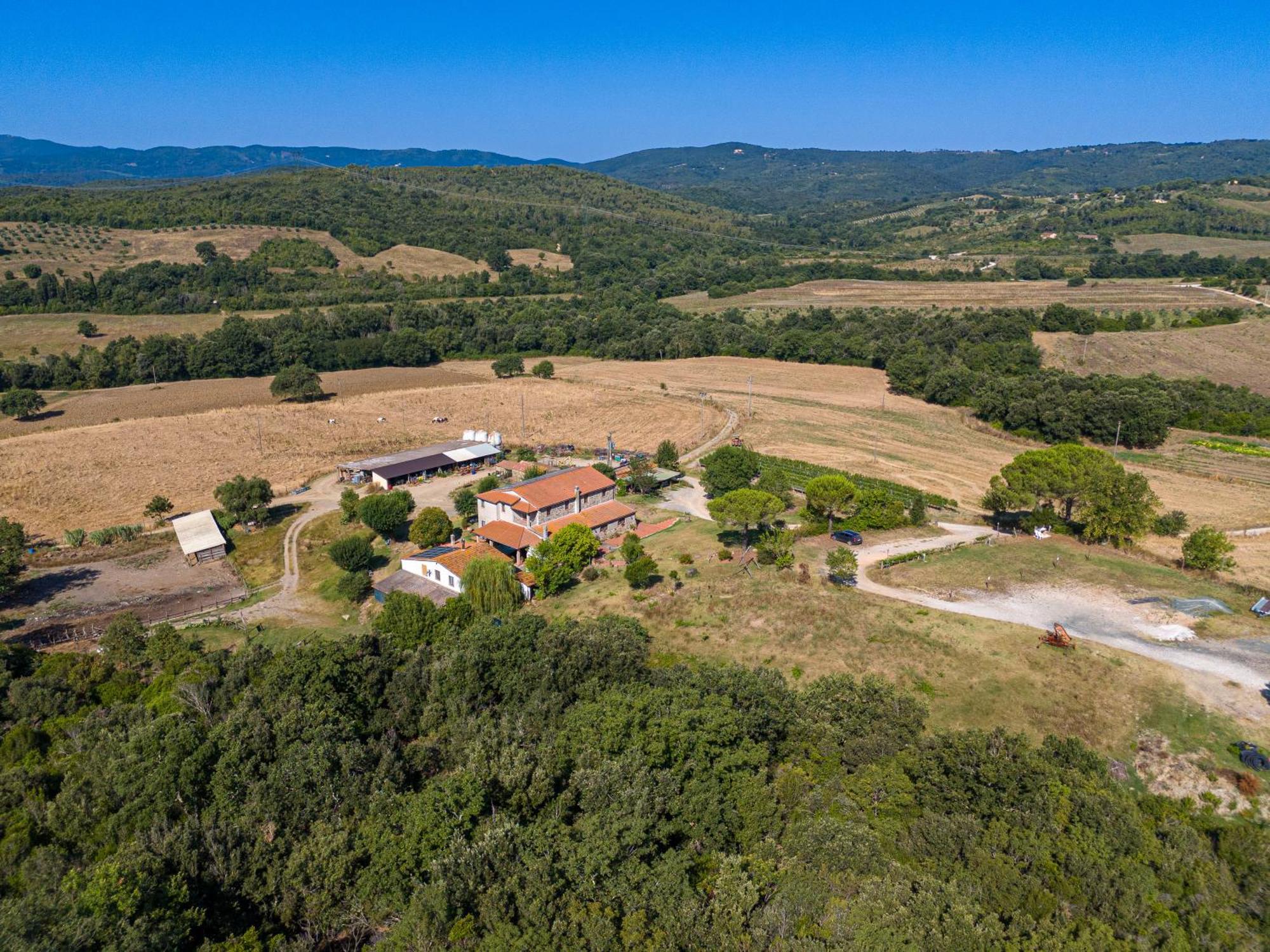 Agriturismo Tenuta Sant'Agnese Monteverdi Marittimo Eksteriør billede