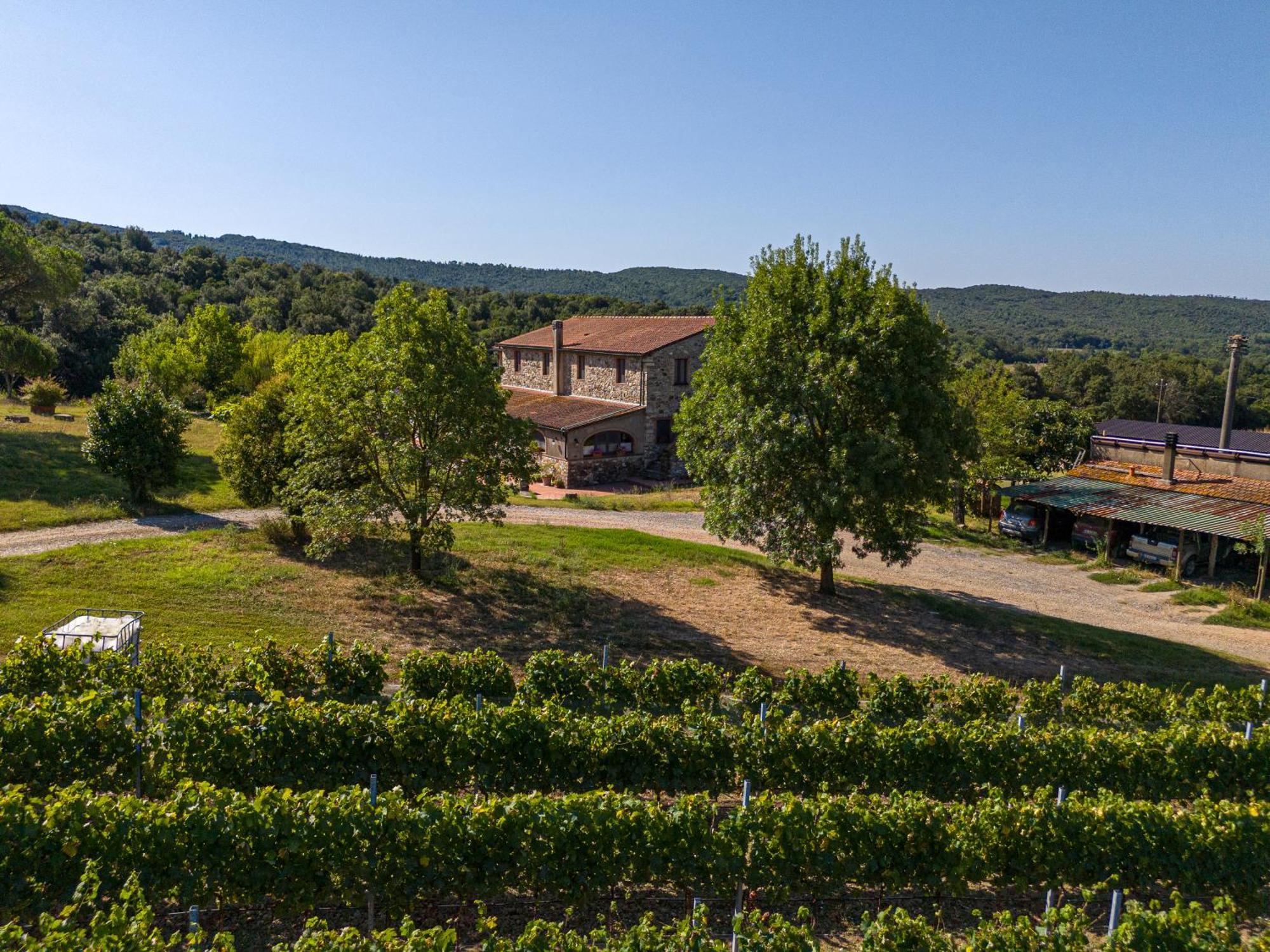 Agriturismo Tenuta Sant'Agnese Monteverdi Marittimo Eksteriør billede